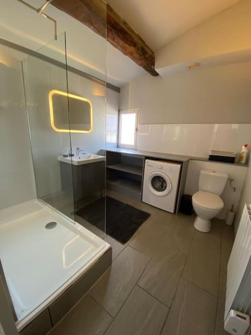 Le Jaffa Vue Sur La Cite Apartment Каркасон Екстериор снимка